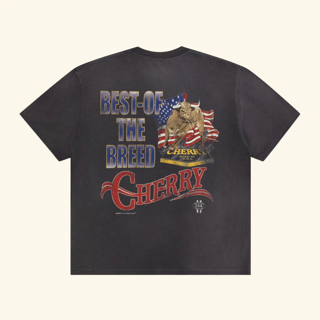 Best Of The Breed Classic Pocket T-Shirt (Vintage Black) - Image 4