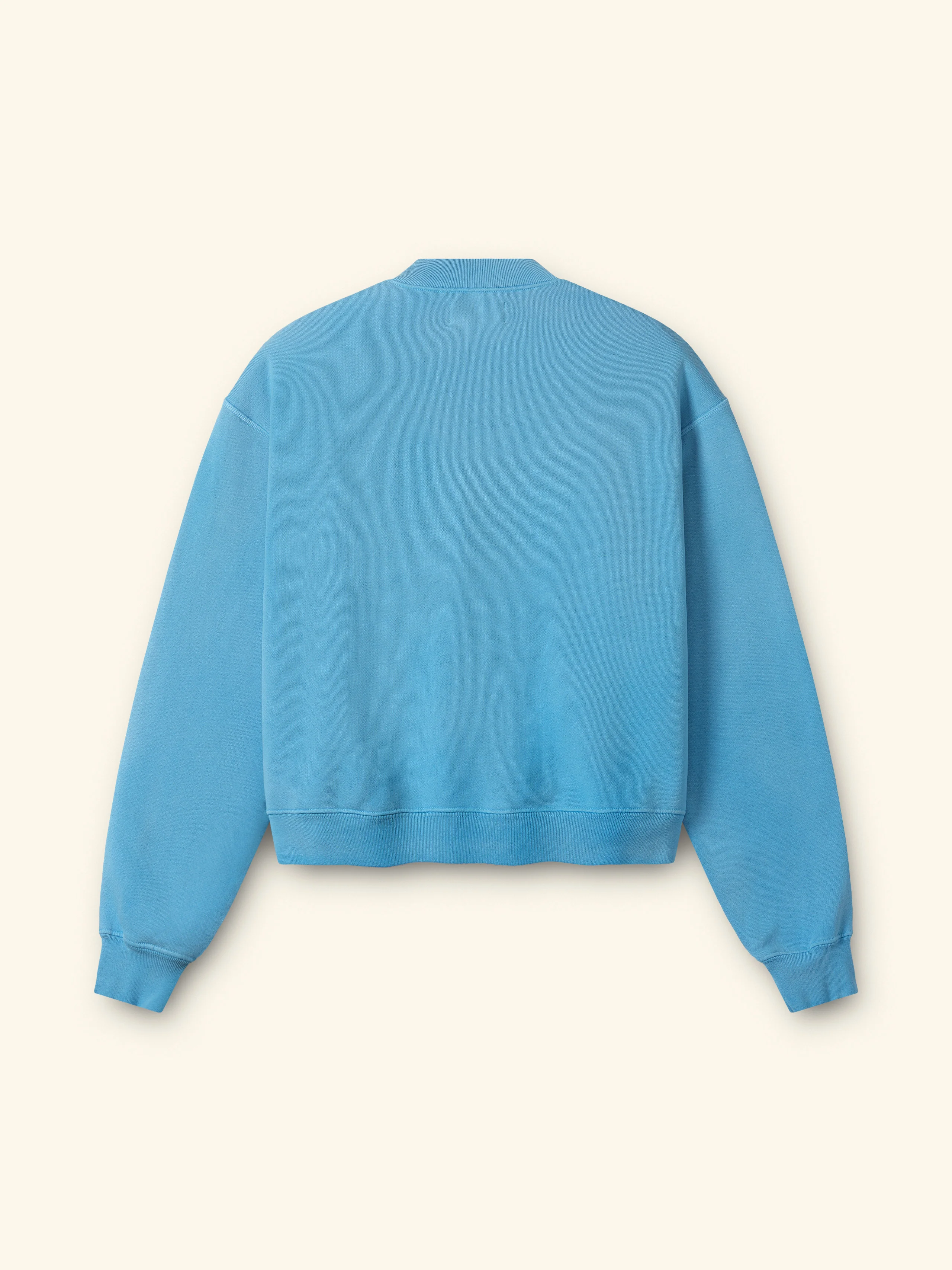 Embroidered Zip Up Crew (Malibu Blue) - Image 5